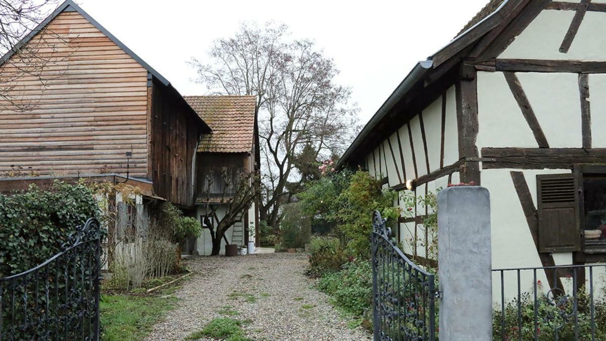 Le Sechoir Du Ried Διαμέρισμα Rossfeld Εξωτερικό φωτογραφία
